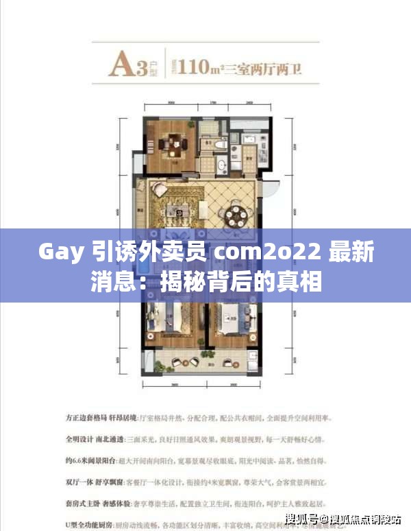 Gay 引诱外卖员 com2o22 最新消息：揭秘背后的真相