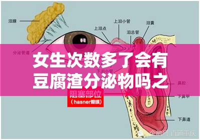 女生次数多了会有豆腐渣分泌物吗之相关医学知识探讨