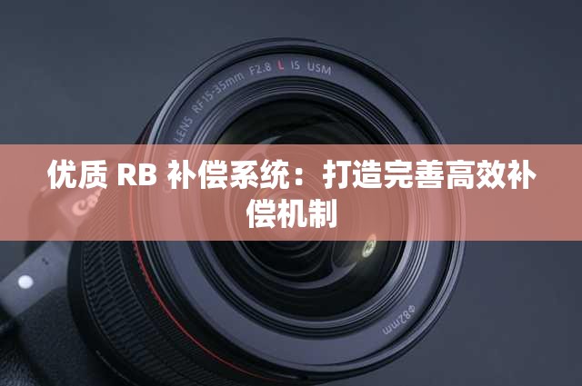 优质 RB 补偿系统：打造完善高效补偿机制