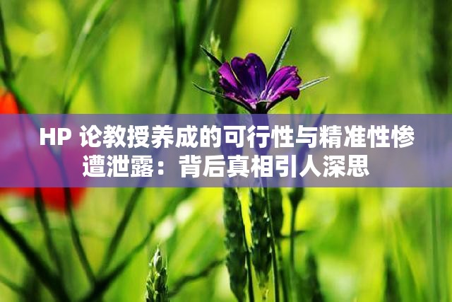 HP 论教授养成的可行性与精准性惨遭泄露：背后真相引人深思