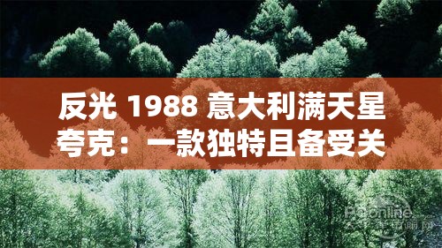 反光 1988 意大利满天星夸克：一款独特且备受关注的物品