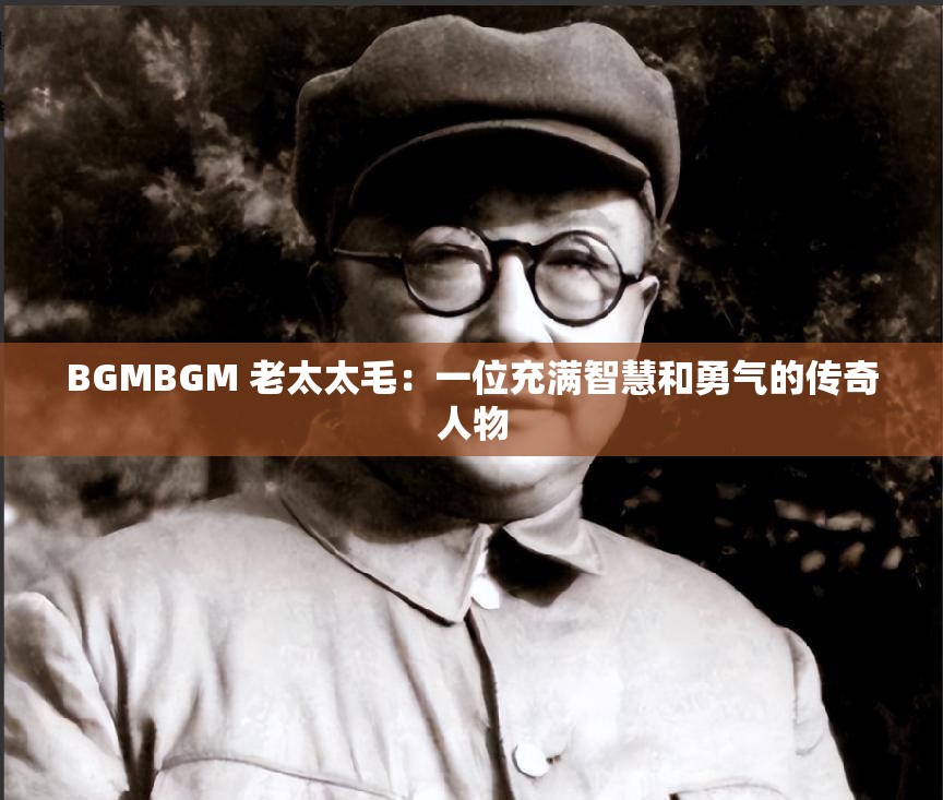 BGMBGM 老太太毛：一位充满智慧和勇气的传奇人物