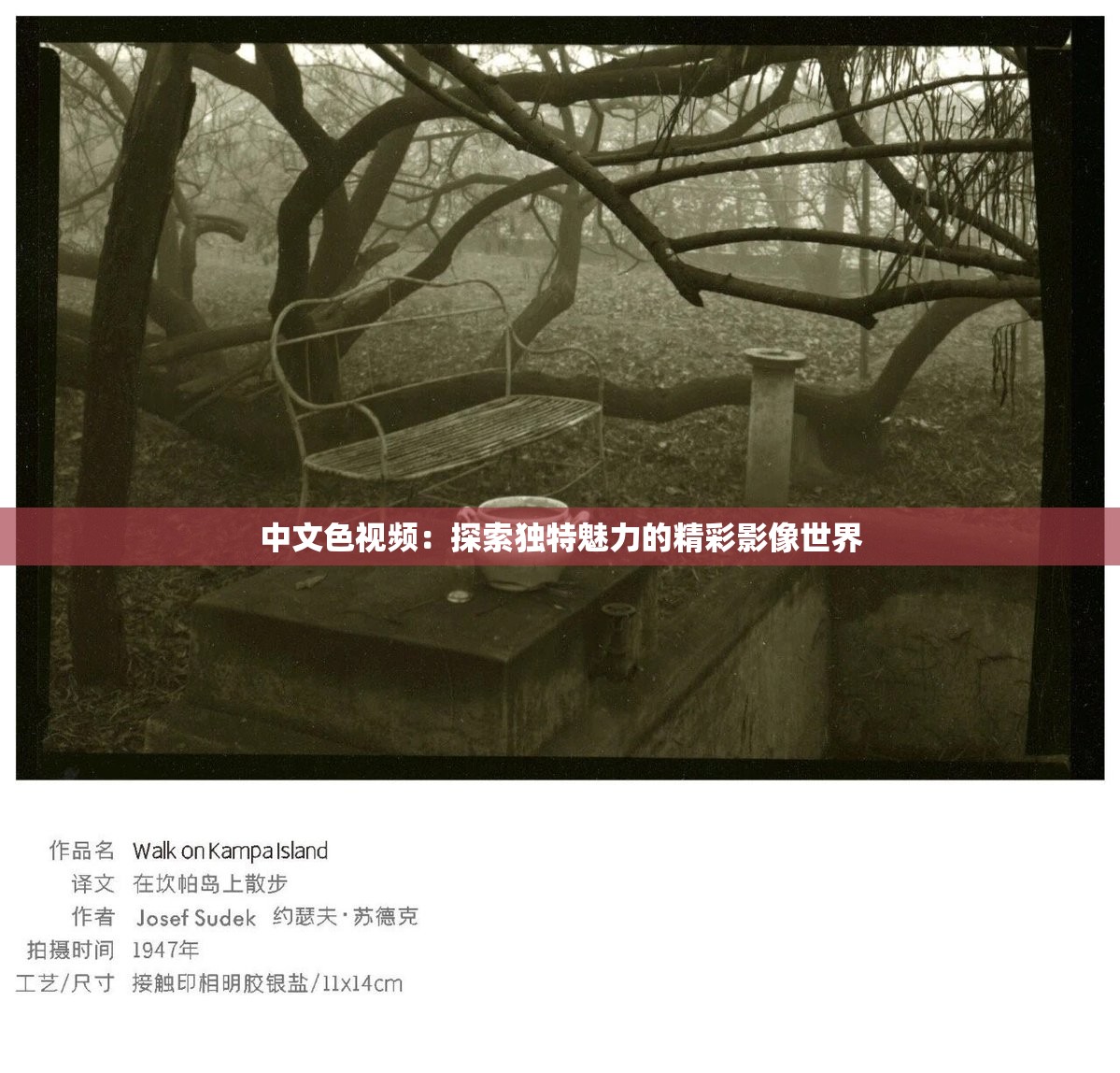 中文色视频：探索独特魅力的精彩影像世界