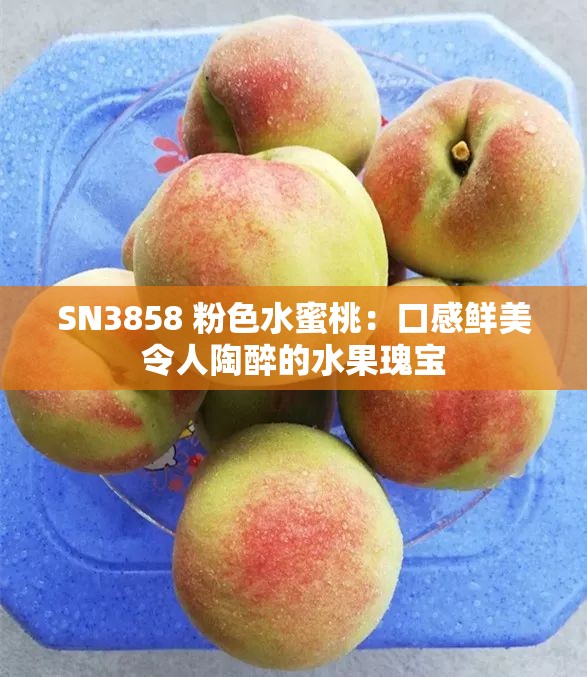 SN3858 粉色水蜜桃：口感鲜美令人陶醉的水果瑰宝