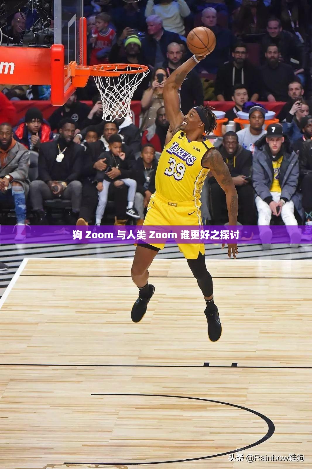 狗 Zoom 与人类 Zoom 谁更好之探讨