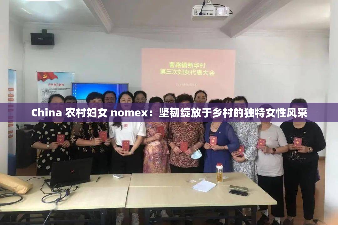 China 农村妇女 nomex：坚韧绽放于乡村的独特女性风采