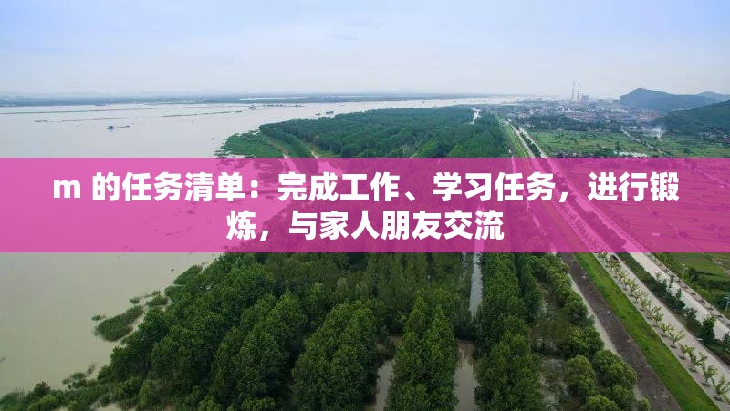 m 的任务清单：完成工作、学习任务，进行锻炼，与家人朋友交流