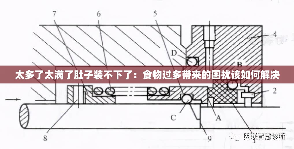 太多了太满了肚子装不下了：食物过多带来的困扰该如何解决