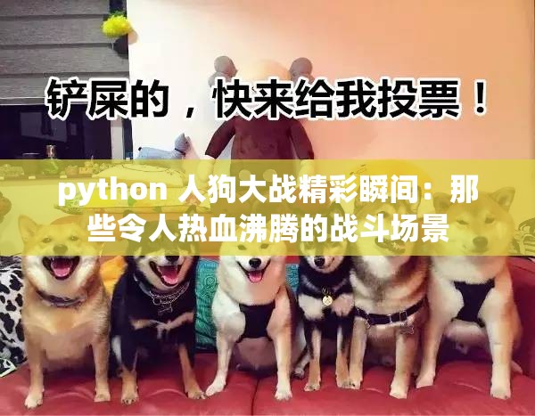 python 人狗大战精彩瞬间：那些令人热血沸腾的战斗场景