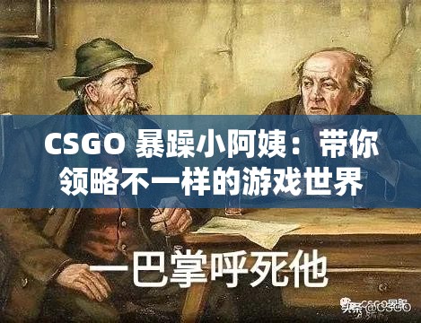 CSGO 暴躁小阿姨：带你领略不一样的游戏世界