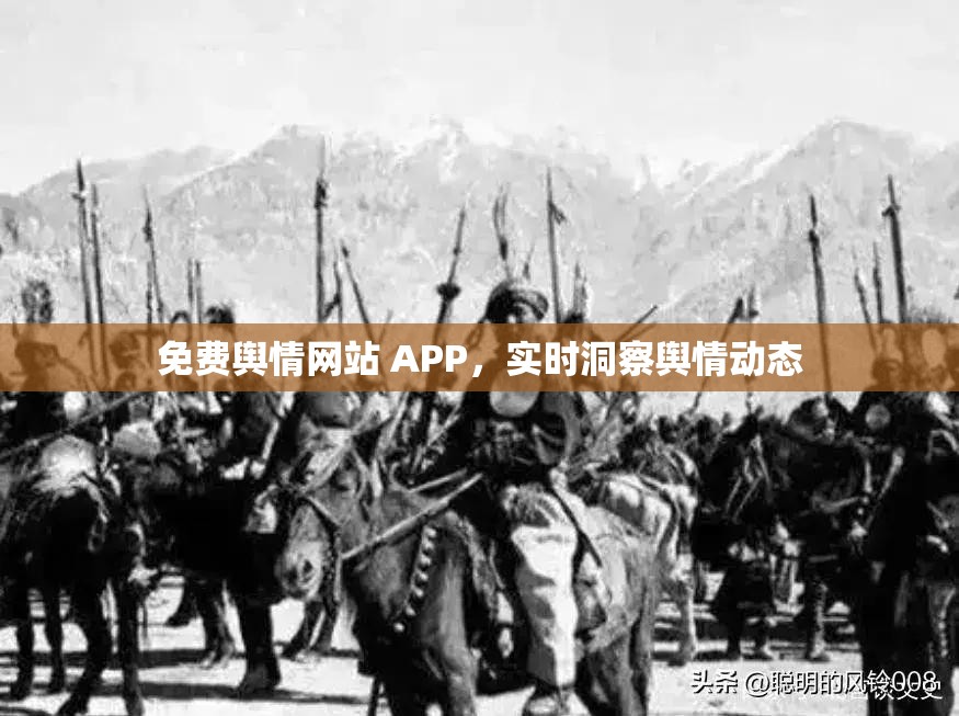 免费舆情网站 APP，实时洞察舆情动态