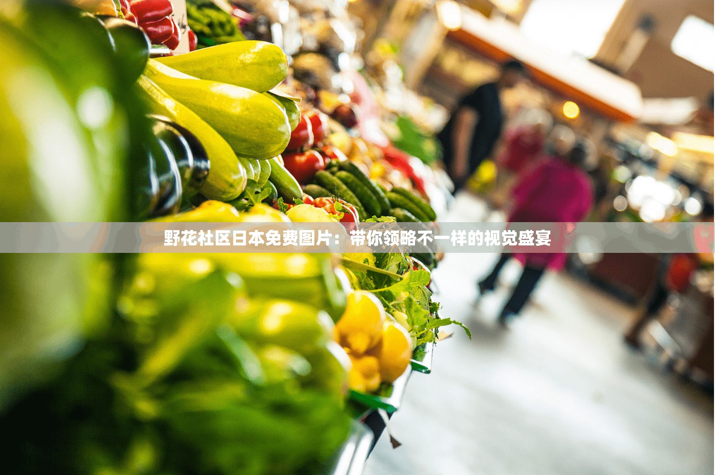 野花社区日本免费图片：带你领略不一样的视觉盛宴