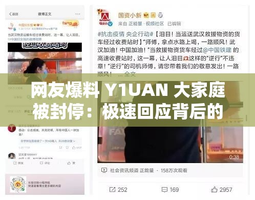 网友爆料 Y1UAN 大家庭被封停：极速回应背后的真相