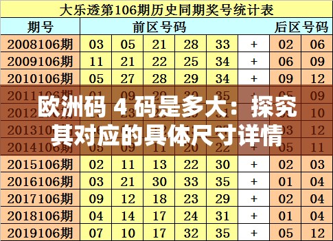 欧洲码 4 码是多大：探究其对应的具体尺寸详情