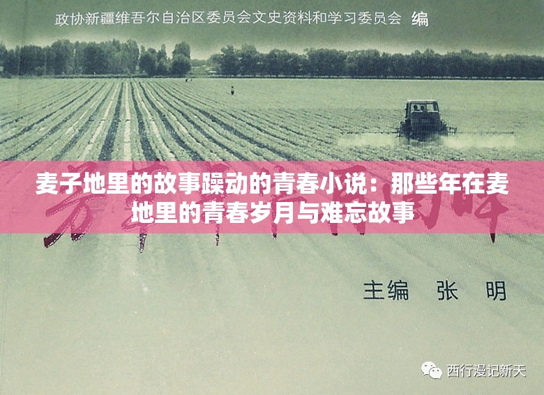 麦子地里的故事躁动的青春小说：那些年在麦地里的青春岁月与难忘故事