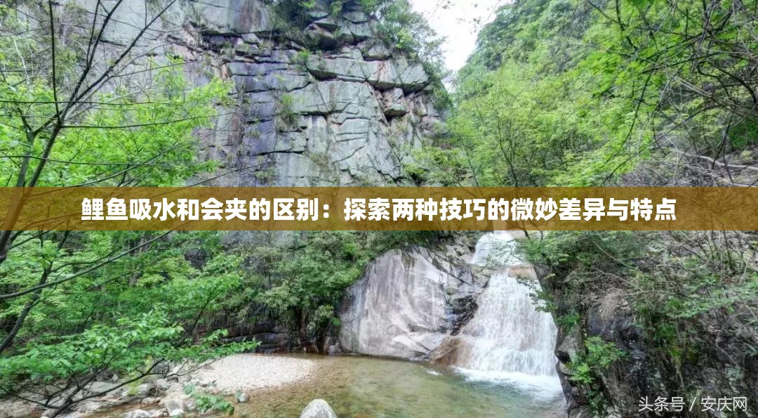 鲤鱼吸水和会夹的区别：探索两种技巧的微妙差异与特点