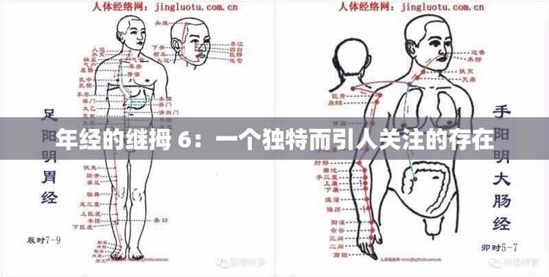 年经的继拇 6：一个独特而引人关注的存在