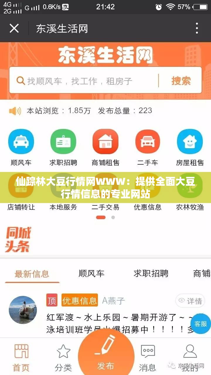 仙踪林大豆行情网WWW：提供全面大豆行情信息的专业网站