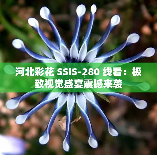 河北彩花 SSIS-280 线看：极致视觉盛宴震撼来袭