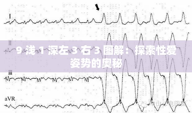 9 浅 1 深左 3 右 3 图解：探索性爱姿势的奥秘