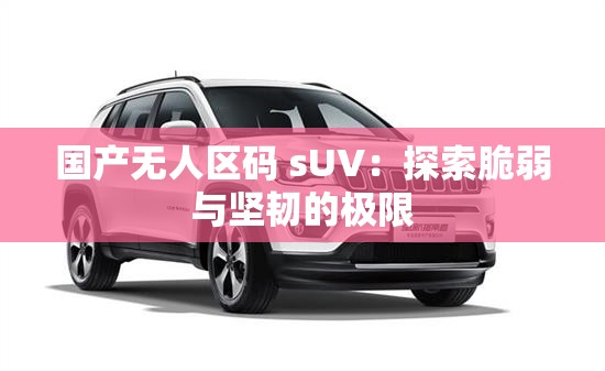 国产无人区码 sUV：探索脆弱与坚韧的极限