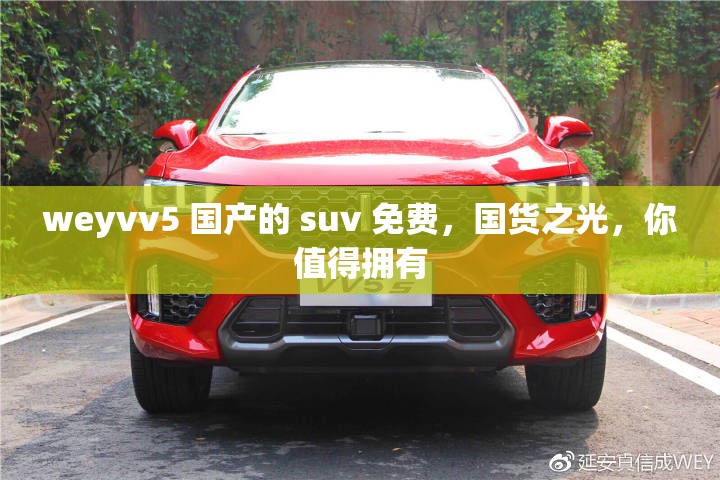 weyvv5 国产的 suv 免费，国货之光，你值得拥有