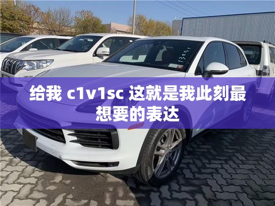 给我 c1v1sc 这就是我此刻最想要的表达