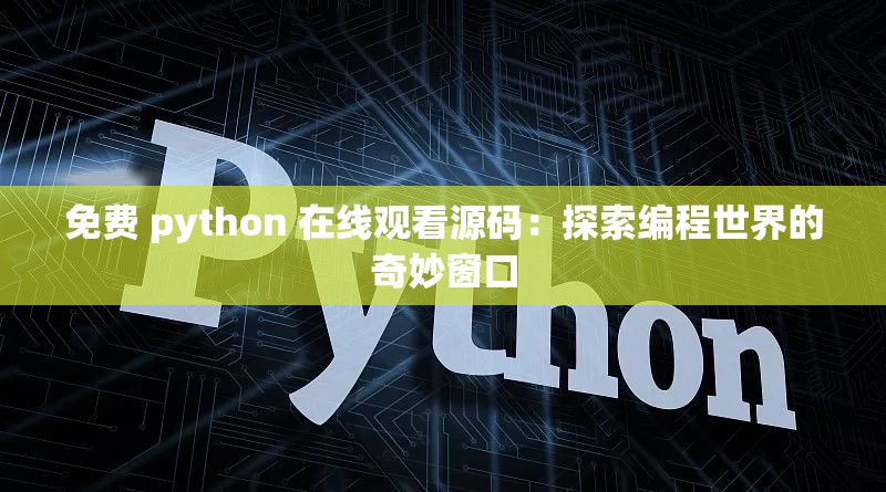 免费 python 在线观看源码：探索编程世界的奇妙窗口