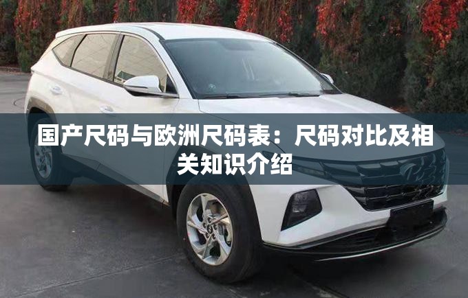 国产尺码与欧洲尺码表：尺码对比及相关知识介绍