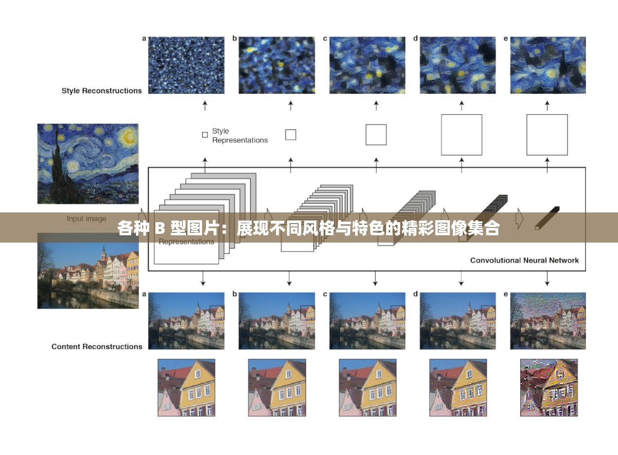 各种 B 型图片：展现不同风格与特色的精彩图像集合