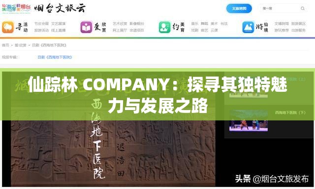 仙踪林 COMPANY：探寻其独特魅力与发展之路