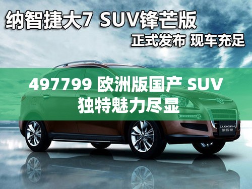 497799 欧洲版国产 SUV 独特魅力尽显