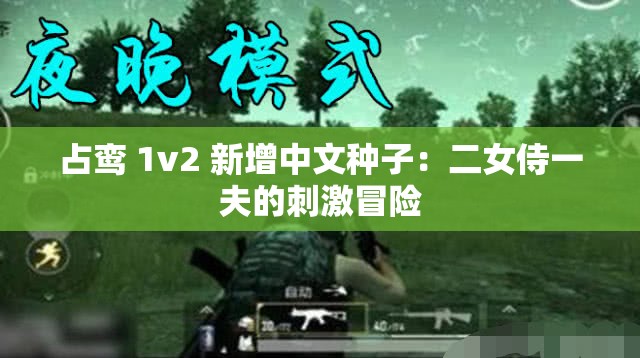 占鸾 1v2 新增中文种子：二女侍一夫的刺激冒险