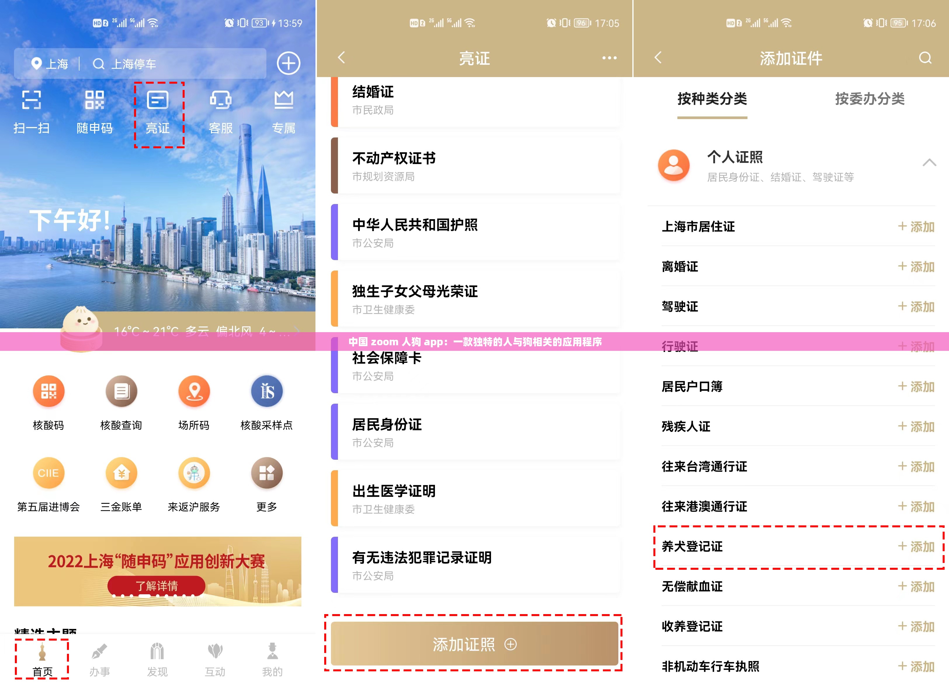 中国 zoom 人狗 app：一款独特的人与狗相关的应用程序