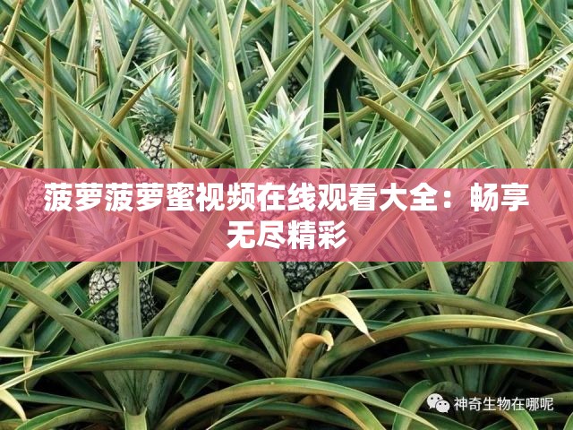 菠萝菠萝蜜视频在线观看大全：畅享无尽精彩