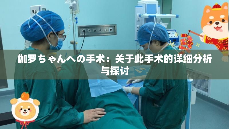 伽罗ちゃんへの手术：关于此手术的详细分析与探讨