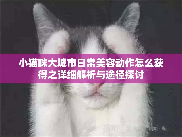 小猫咪大城市日常美容动作怎么获得之详细解析与途径探讨