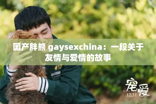 国产胖熊 gaysexchina：一段关于友情与爱情的故事