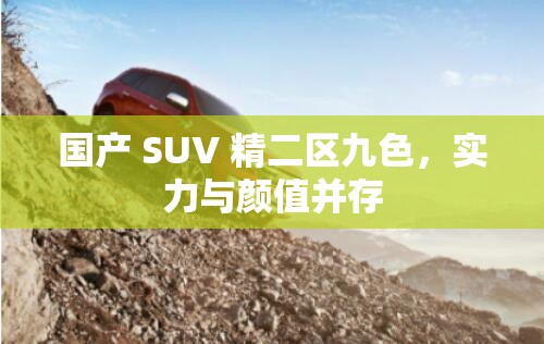 国产 SUV 精二区九色，实力与颜值并存