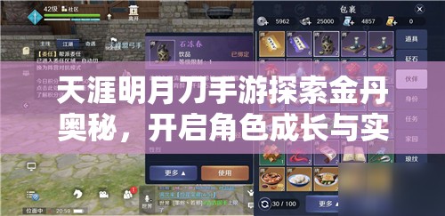 天涯明月刀手游探索金丹奥秘，开启角色成长与实力提升新篇章