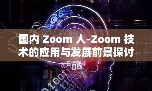 国内 Zoom 人-Zoom 技术的应用与发展前景探讨