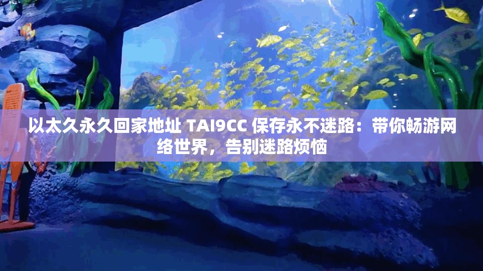 以太久永久回家地址 TAI9CC 保存永不迷路：带你畅游网络世界，告别迷路烦恼