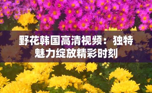 野花韩国高清视频：独特魅力绽放精彩时刻