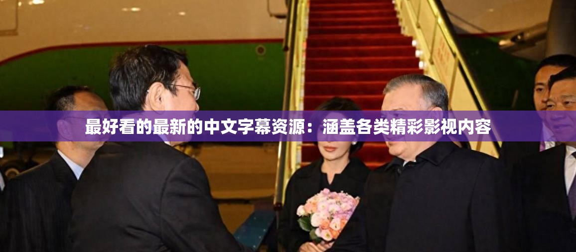 最好看的最新的中文字幕资源：涵盖各类精彩影视内容