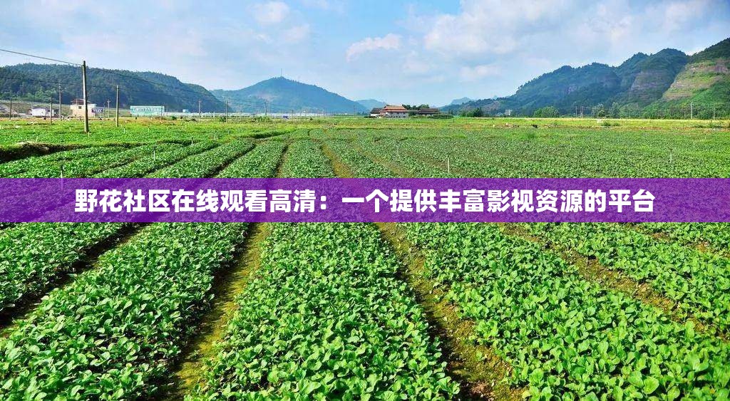 野花社区在线观看高清：一个提供丰富影视资源的平台