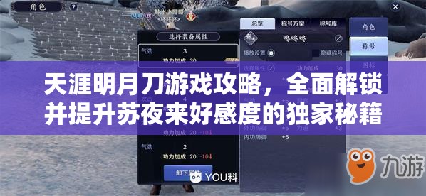 天涯明月刀游戏攻略，全面解锁并提升苏夜来好感度的独家秘籍