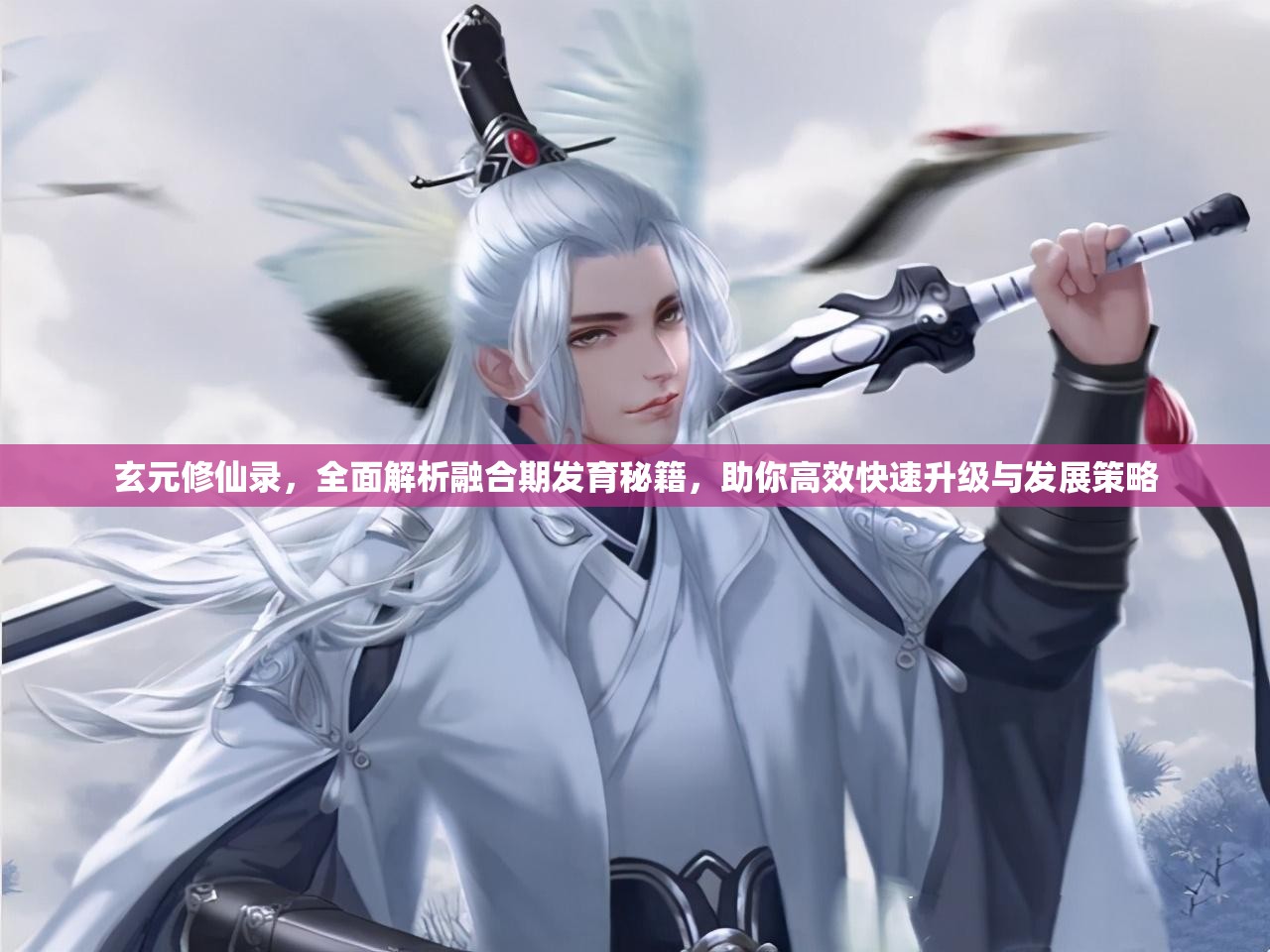 玄元修仙录，全面解析融合期发育秘籍，助你高效快速升级与发展策略