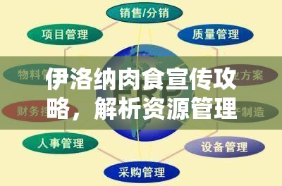 伊洛纳肉食宣传攻略，解析资源管理中肉食宣传任务的重要性与实施高效策略