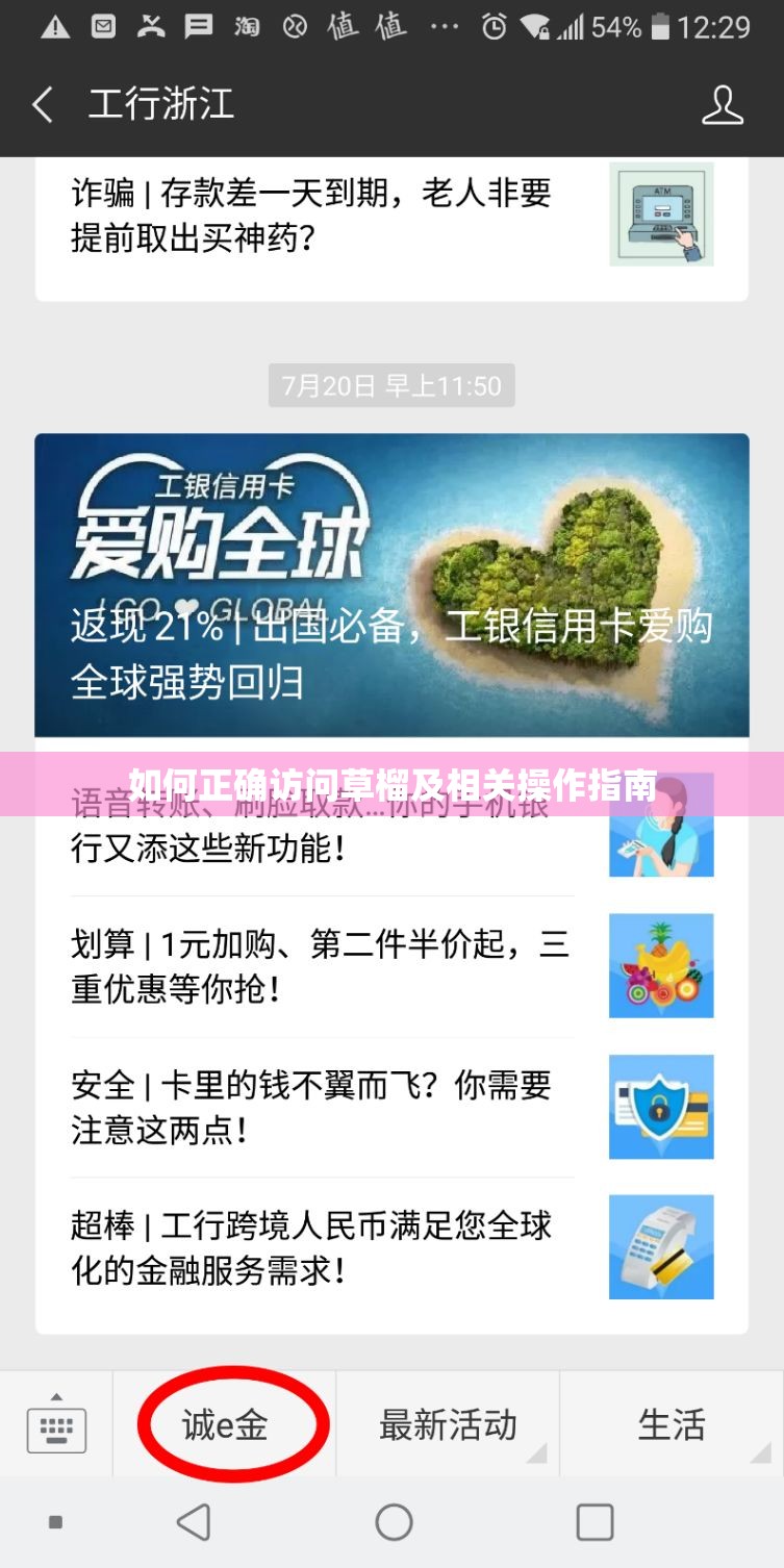 如何正确访问草榴及相关操作指南