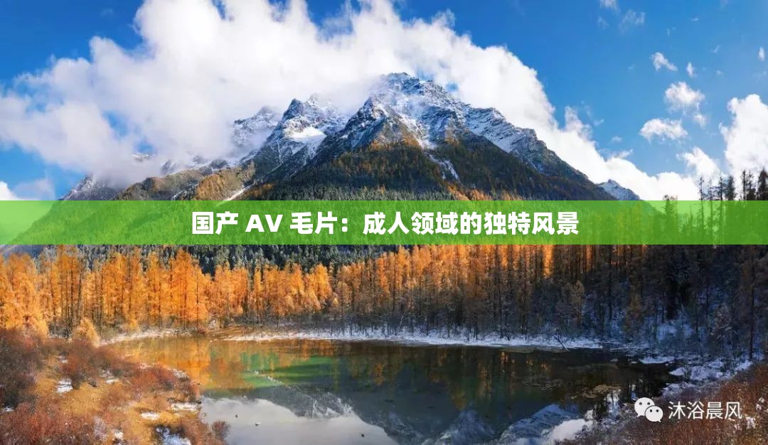 国产 AV 毛片：成人领域的独特风景